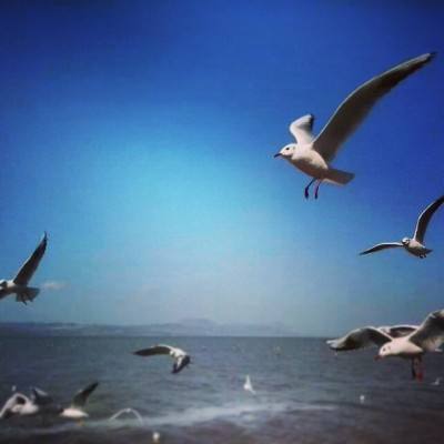 炮击海船手机版